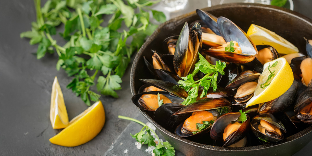 Midyeci Yasin - Hakkımızda