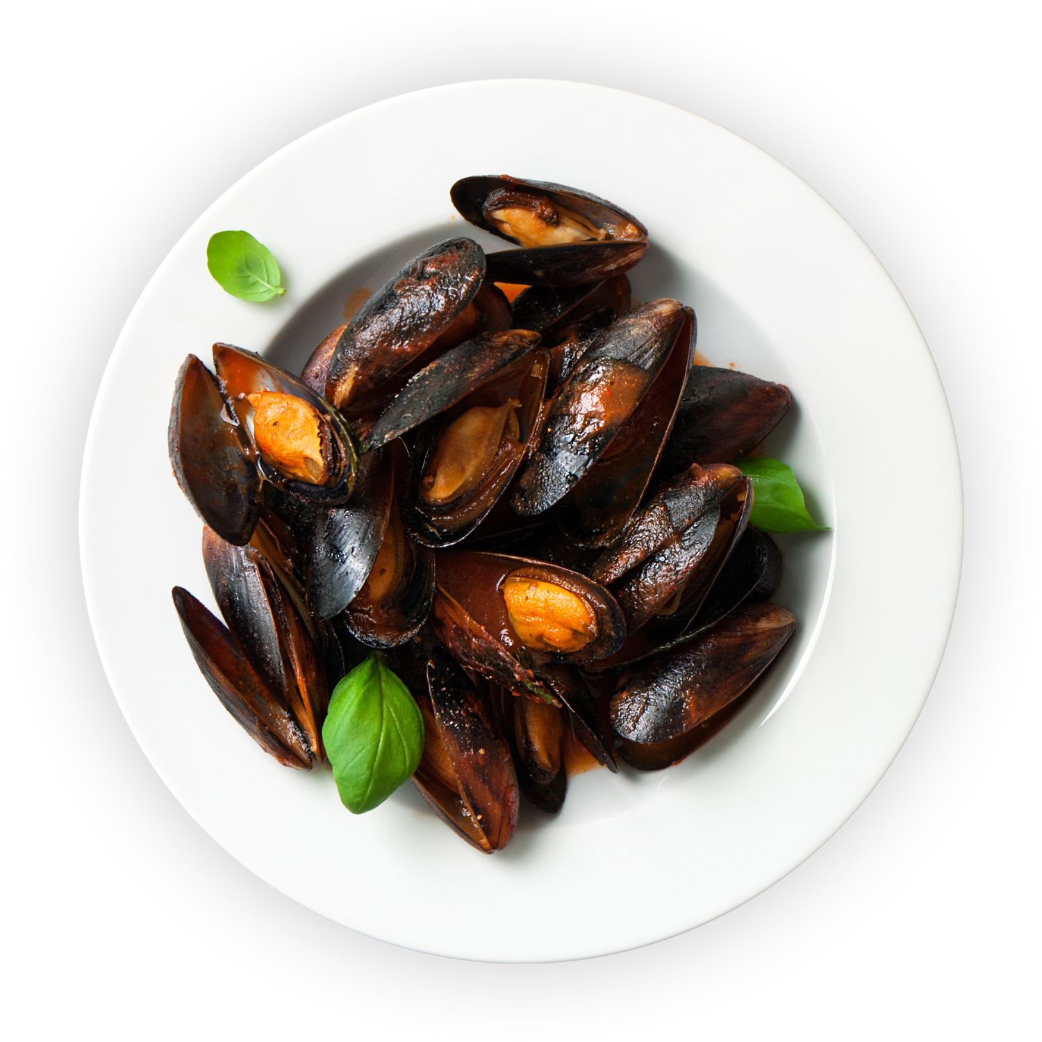 Midyeci Yasin - Giriş Bölümü Görseli